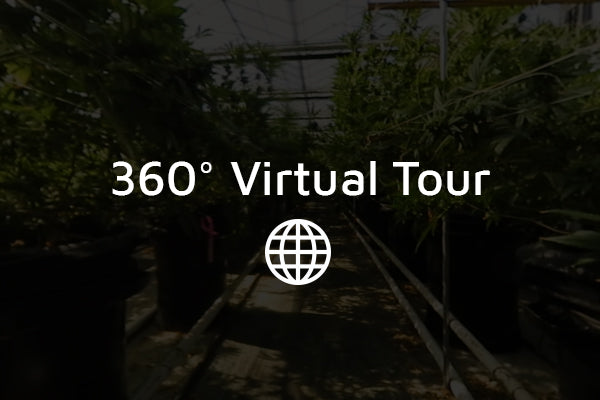 Grown With Elite | 360° Virtual Tour