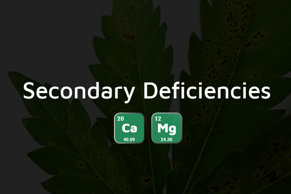 Secondary Common Plant Deficiencies