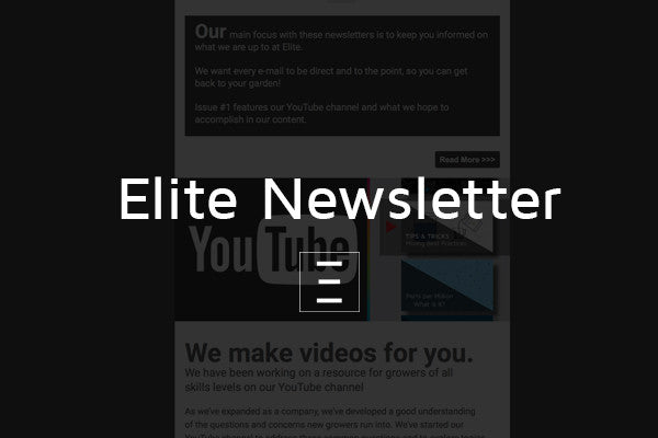 The Elite Newsletter is here!