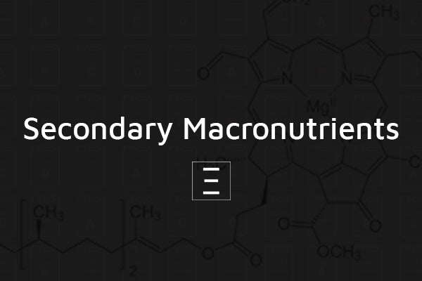 Secondary Macronutrients: What Are They? Why Should We Care?